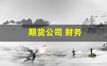 期货公司 财务(期货公司财务负责人)_https://www.gfdzclz.com_北交所_第1张